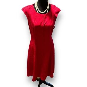 Danny and Nicole Red A-Line Dress